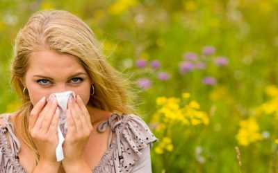 Польза очистителей воздуха для аллергиков